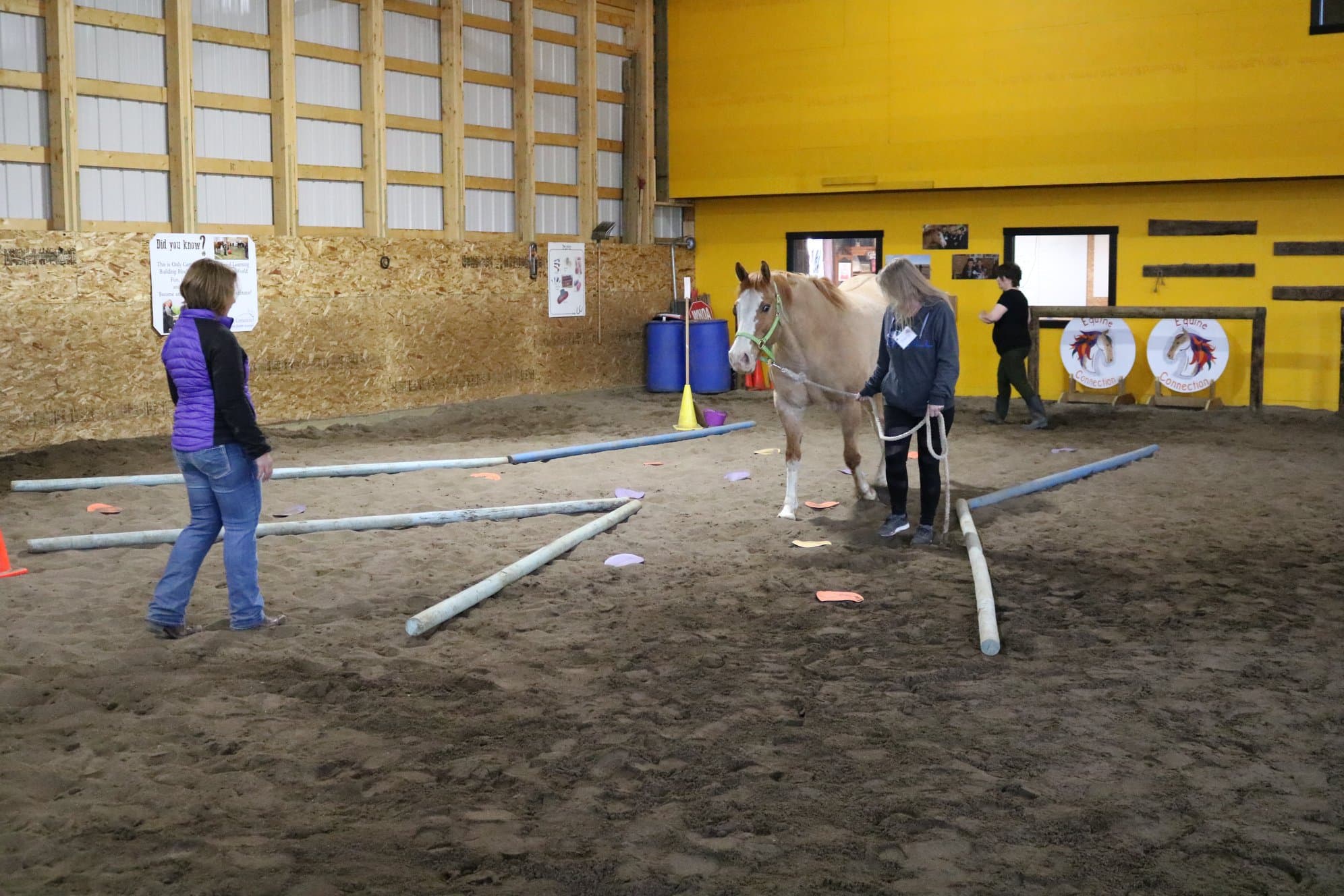 A team working together during an arena session