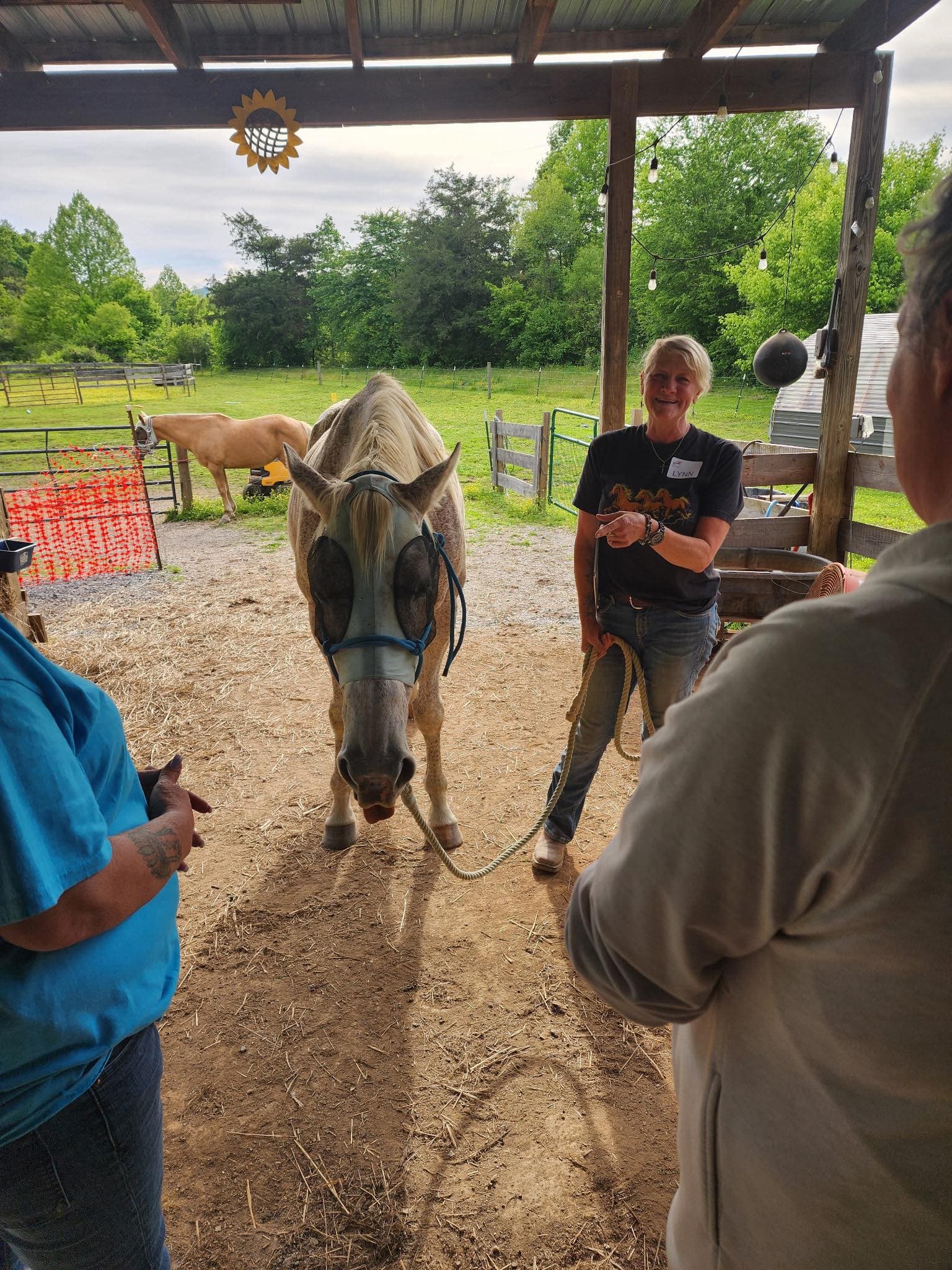 Leading a horse through a ground-based learning activity