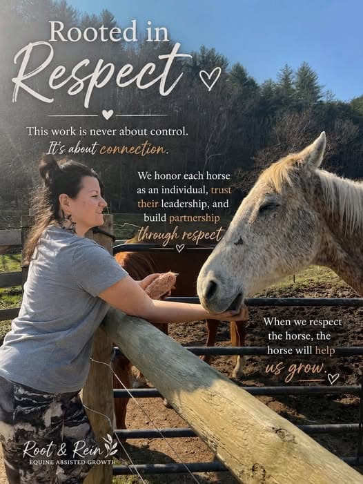 Two horses standing close together