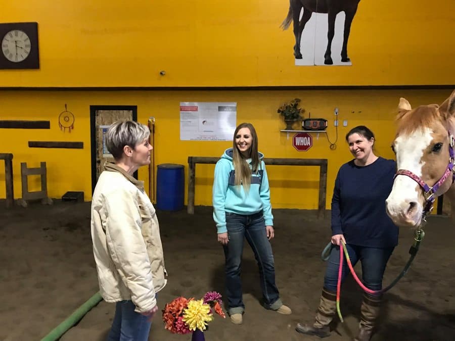 A team taking part in a group equine session in the arena