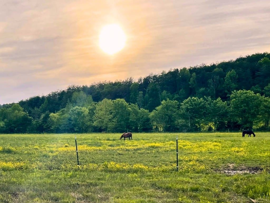 Golden-hour sunset over the pastures at BellaSoul Farm