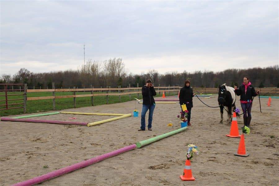 Participants guiding a horse through a colorful obstacle course during a workshop at BellaSoul Farm