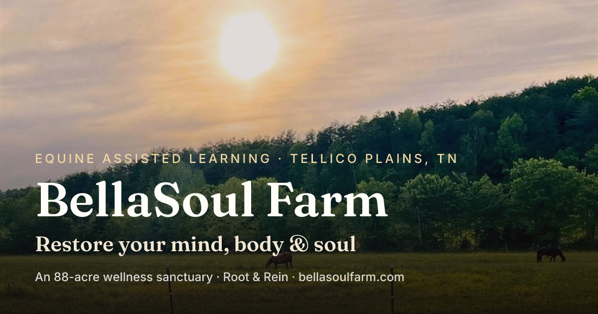 BellaSoul Farm photo